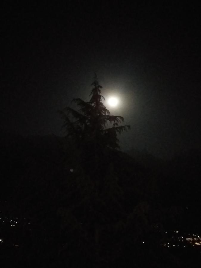 Hotel Seven Hills Manali Bagian luar foto