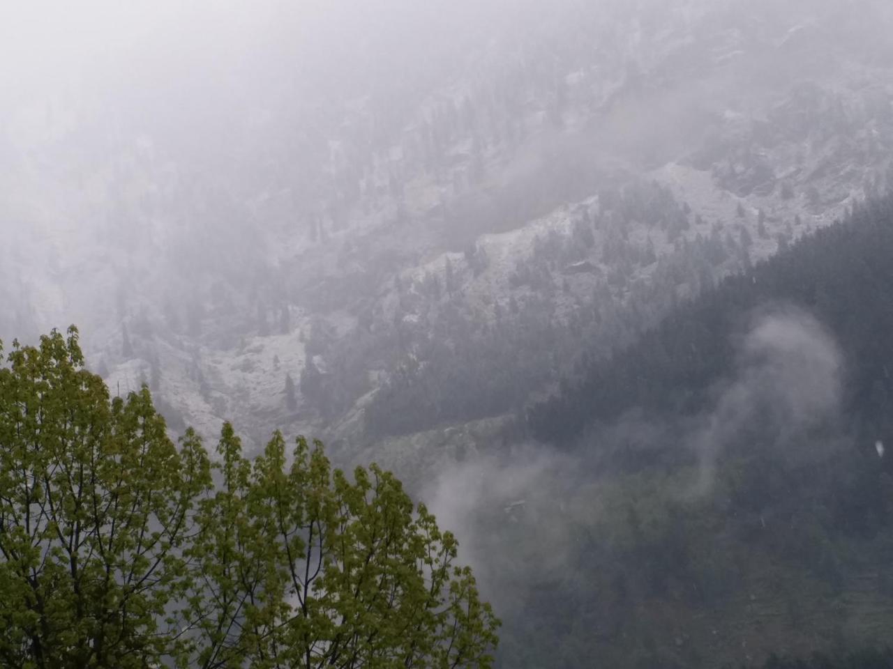 Hotel Seven Hills Manali Bagian luar foto